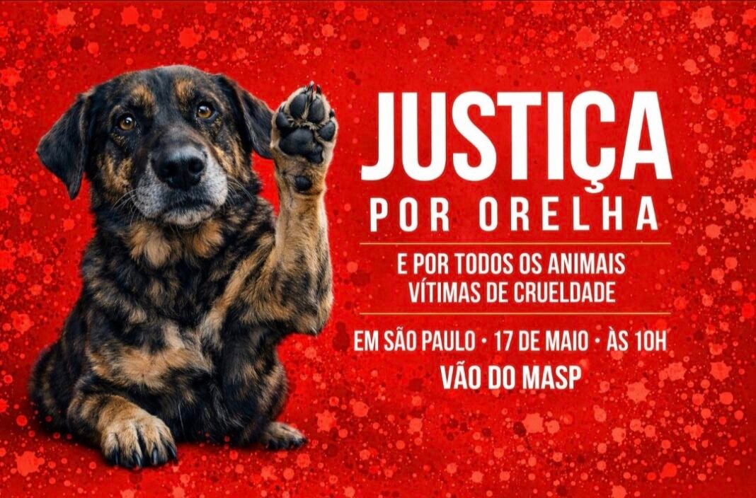 População rejeita arquivamento do caso Orelha e manifestação do dia 17 em São Paulo promete ecoar em busca de justiça População rejeita arquivamento do caso Orelha e manifestação do dia 17 em São Paulo promete ecoar em busca de justiça